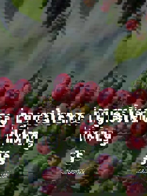 Foresight welcomes TPG Rise Climate as